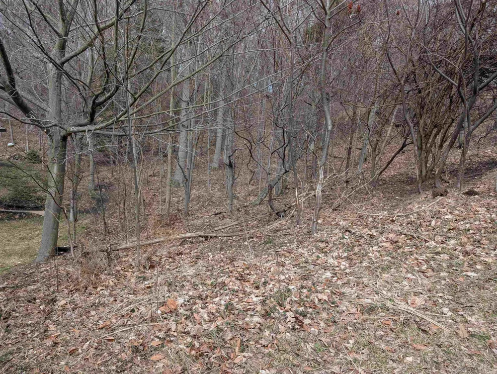 6625 Forest Beach Drive Laketown Township, MI 49423