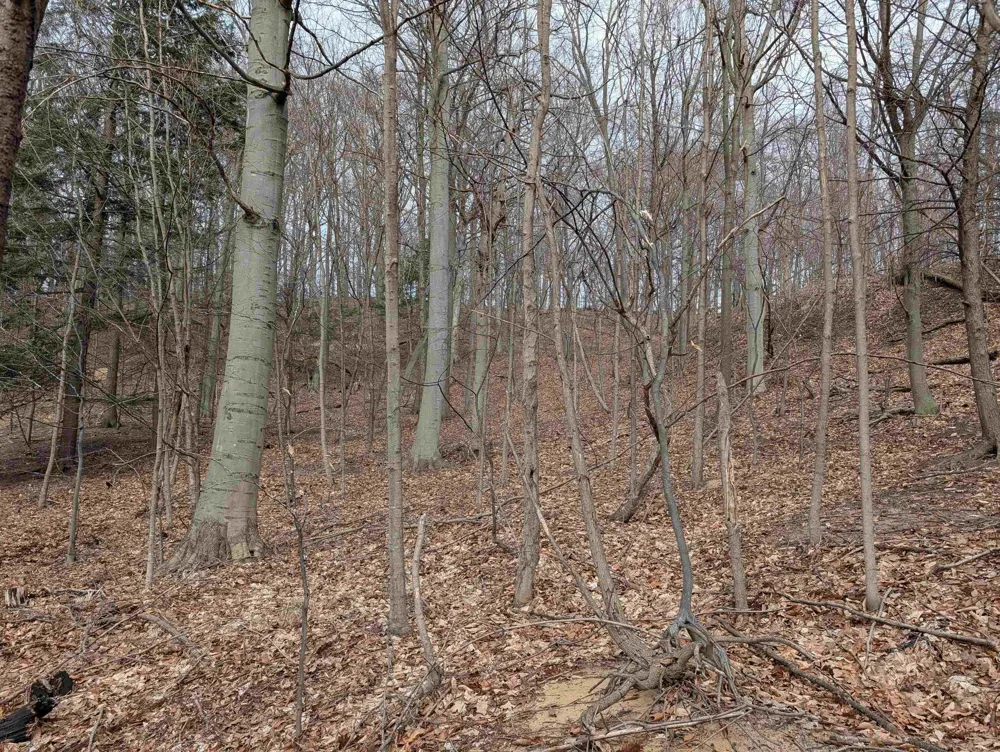 6625 Forest Beach Drive Laketown Township, MI 49423