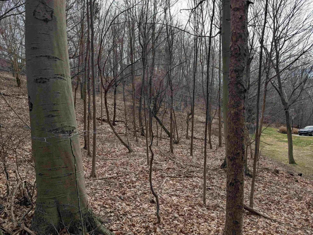 6625 Forest Beach Drive Laketown Township, MI 49423