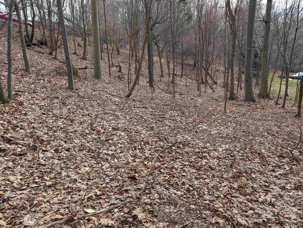6625 Forest Beach Drive Laketown Township, MI 49423
