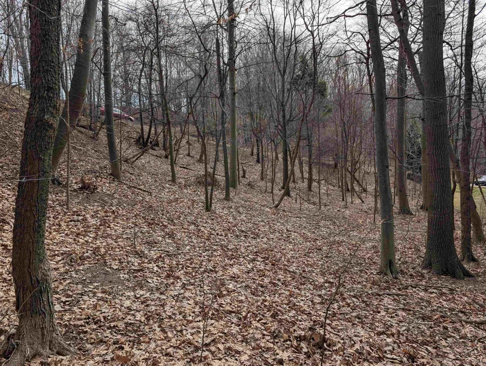 6625 Forest Beach Drive Laketown Township, MI 49423