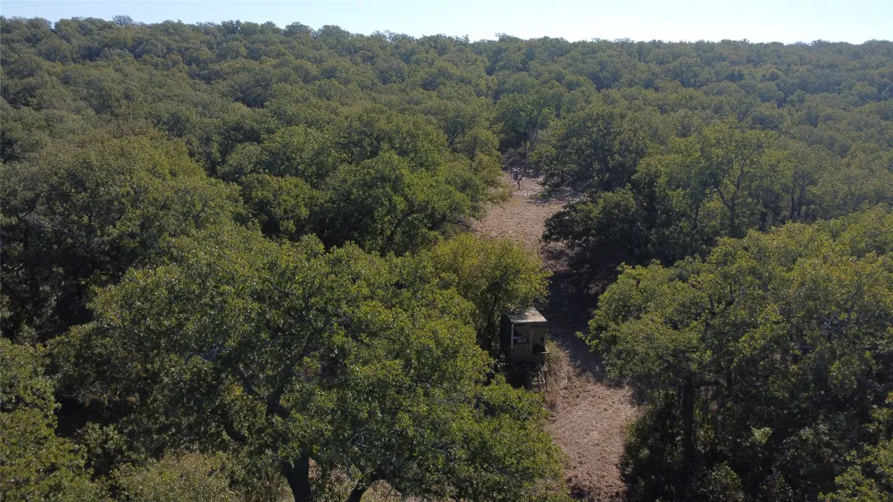 Hwy 16 Graham, TX 76450