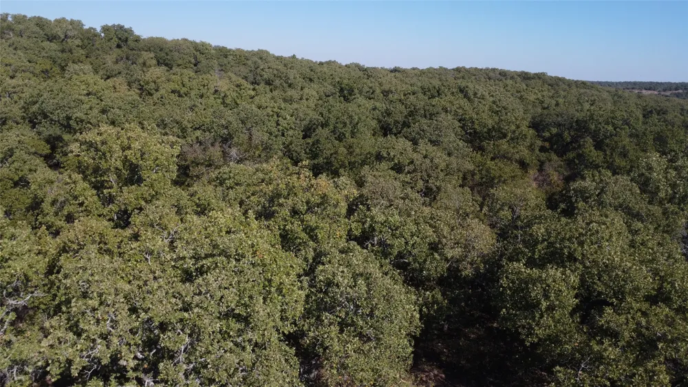 Hwy 16 Graham, TX 76450
