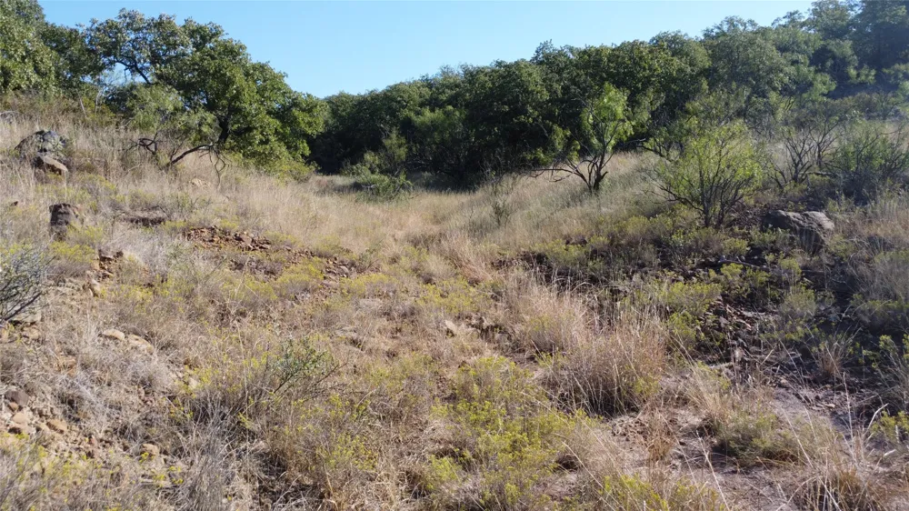 Hwy 16 Graham, TX 76450