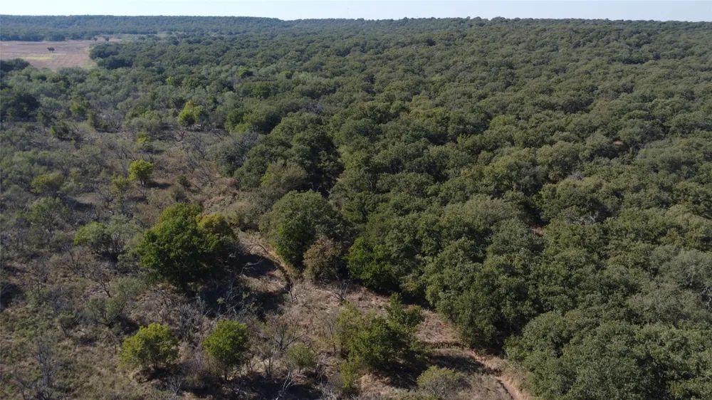 Hwy 16 Graham, TX 76450