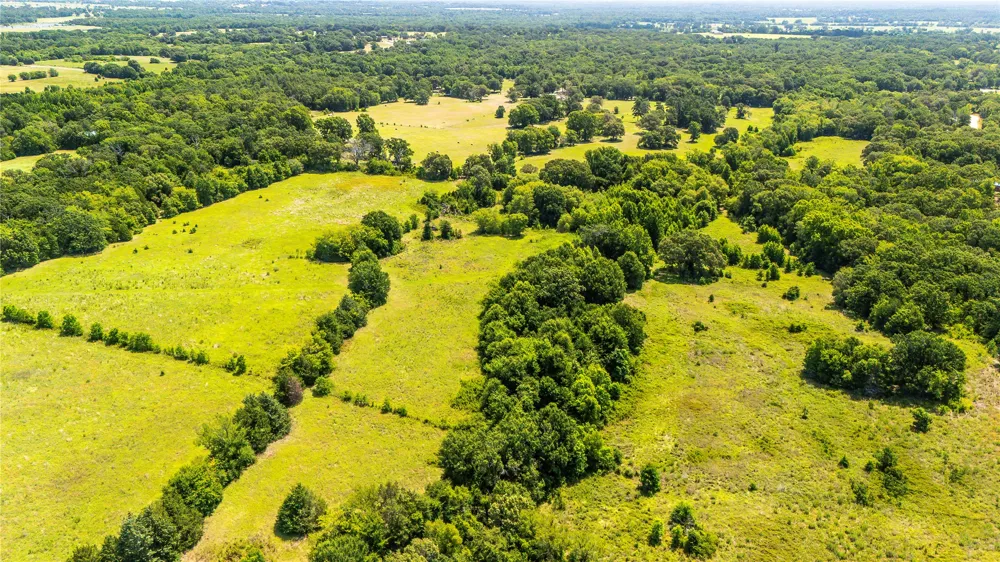 FM 773 Murchison, TX 75778