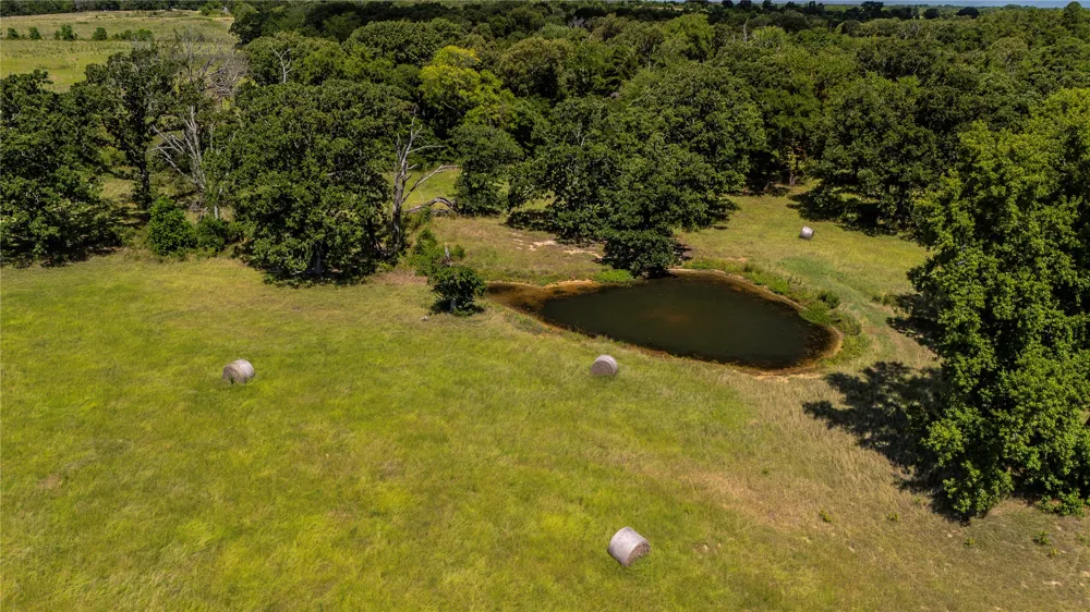 FM 773 Murchison, TX 75778