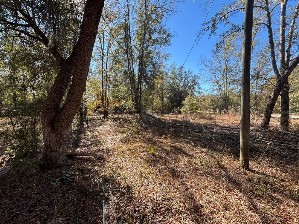 1077 NW HAMP FARMER ROAD Lake City, FL 32055
