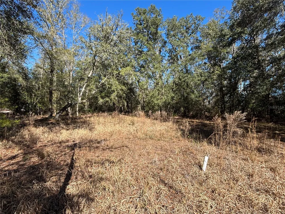 1077 NW HAMP FARMER ROAD Lake City, FL 32055