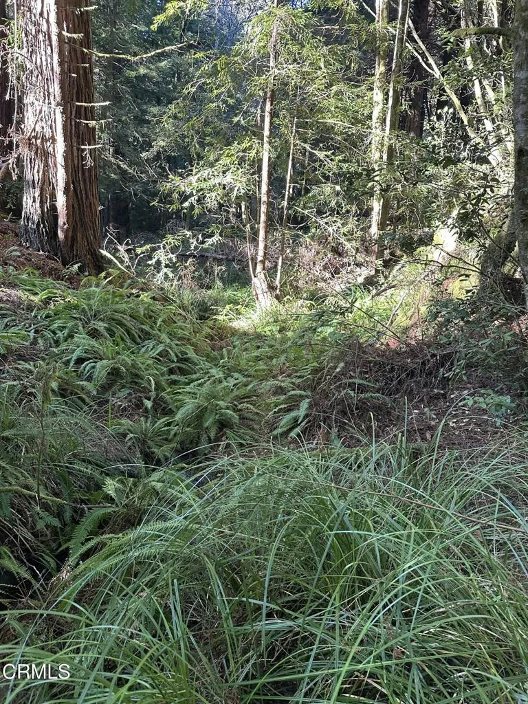 17500 Redwood Springs Drive Fort Bragg, CA 95437