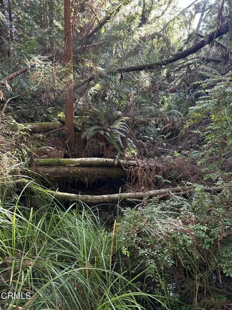 17500 Redwood Springs Drive Fort Bragg, CA 95437