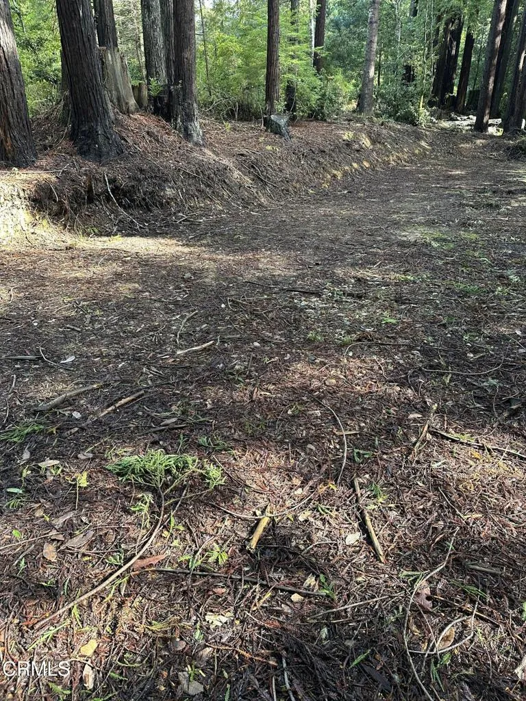 17500 Redwood Springs Drive Fort Bragg, CA 95437