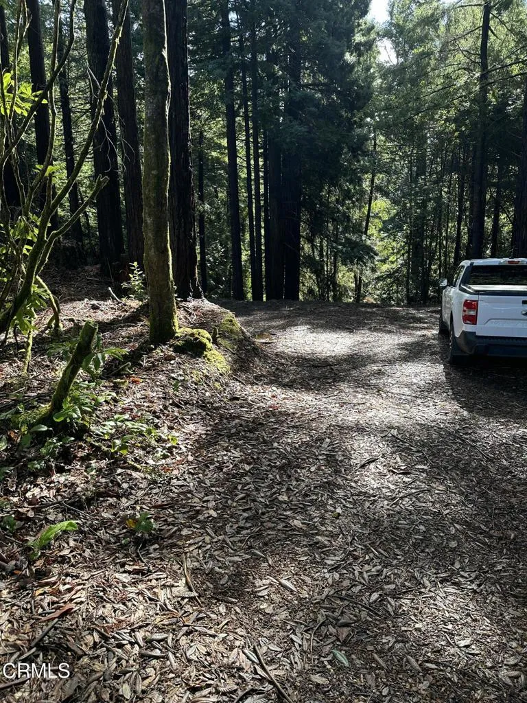 17500 Redwood Springs Drive Fort Bragg, CA 95437
