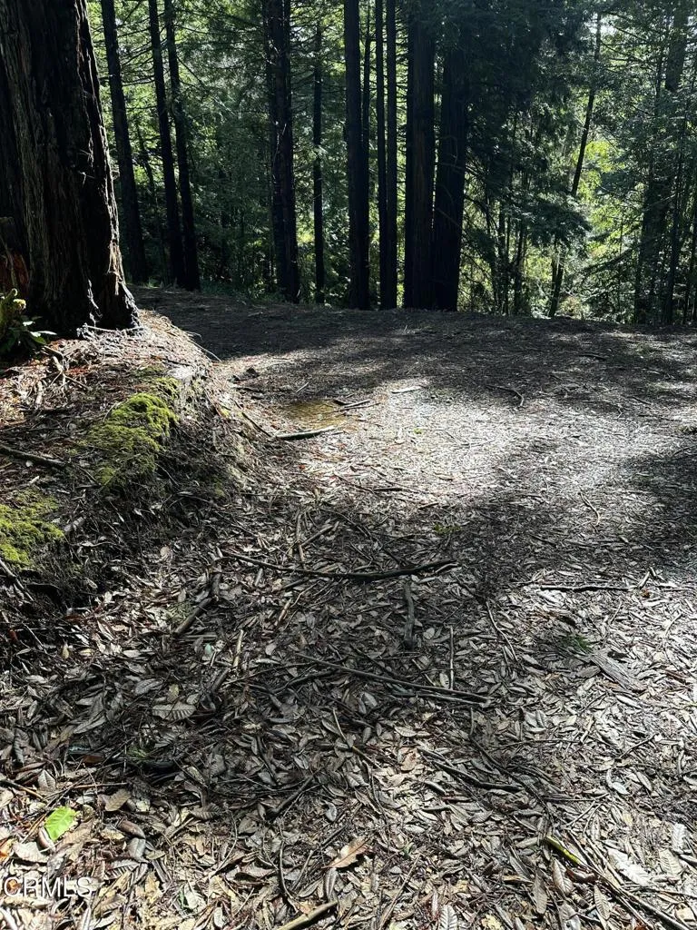 17500 Redwood Springs Drive Fort Bragg, CA 95437