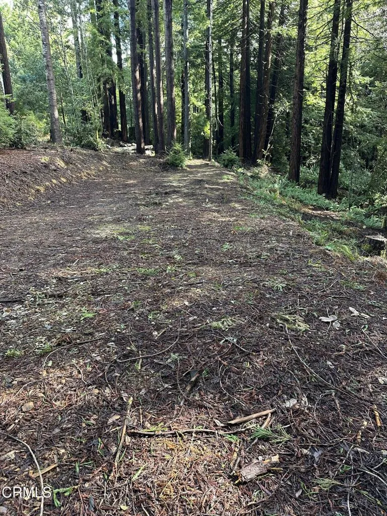 17500 Redwood Springs Drive Fort Bragg, CA 95437