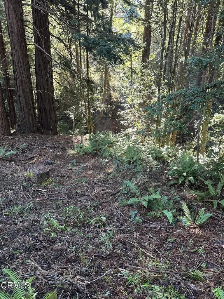 17500 Redwood Springs Drive Fort Bragg, CA 95437