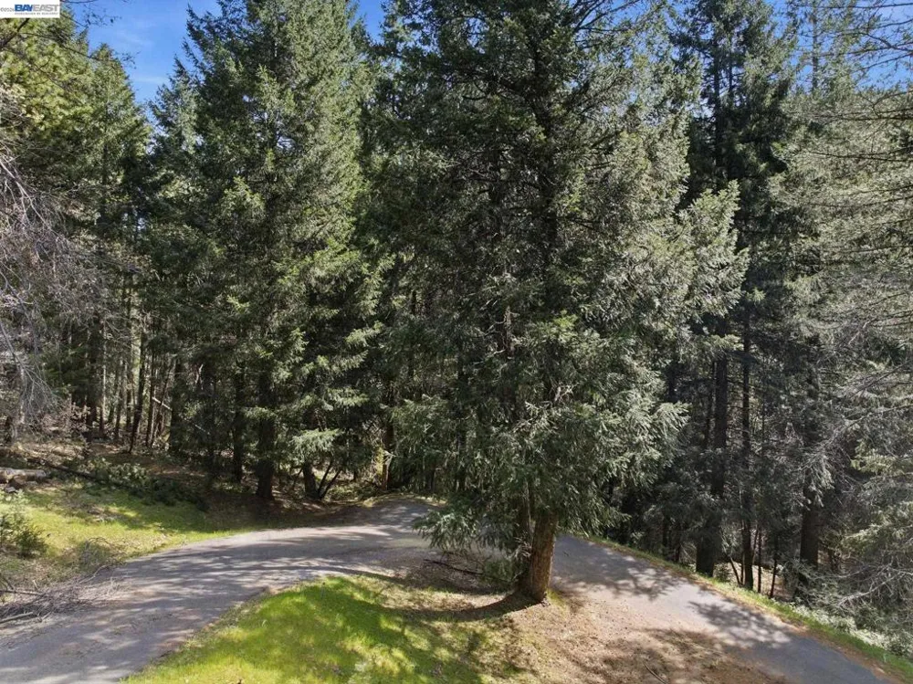 5890 Starkes Grade Rd Pollock Pines, CA 95726