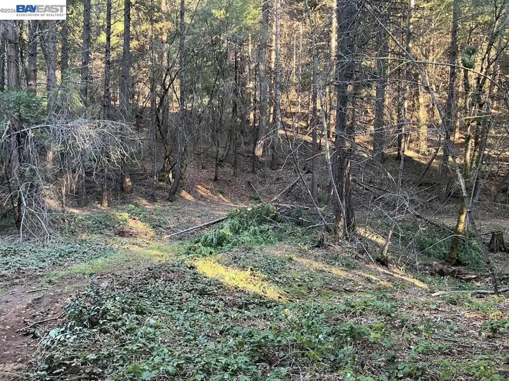 5890 Starkes Grade Rd Pollock Pines, CA 95726