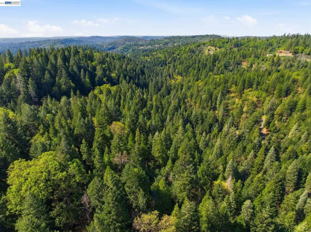 5890 Starkes Grade Rd Pollock Pines, CA 95726