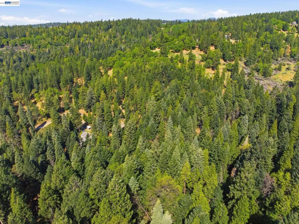5890 Starkes Grade Rd Pollock Pines, CA 95726