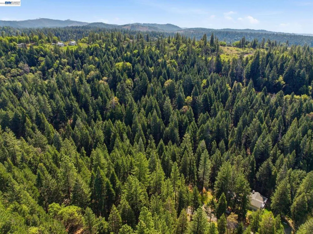 5890 Starkes Grade Rd Pollock Pines, CA 95726