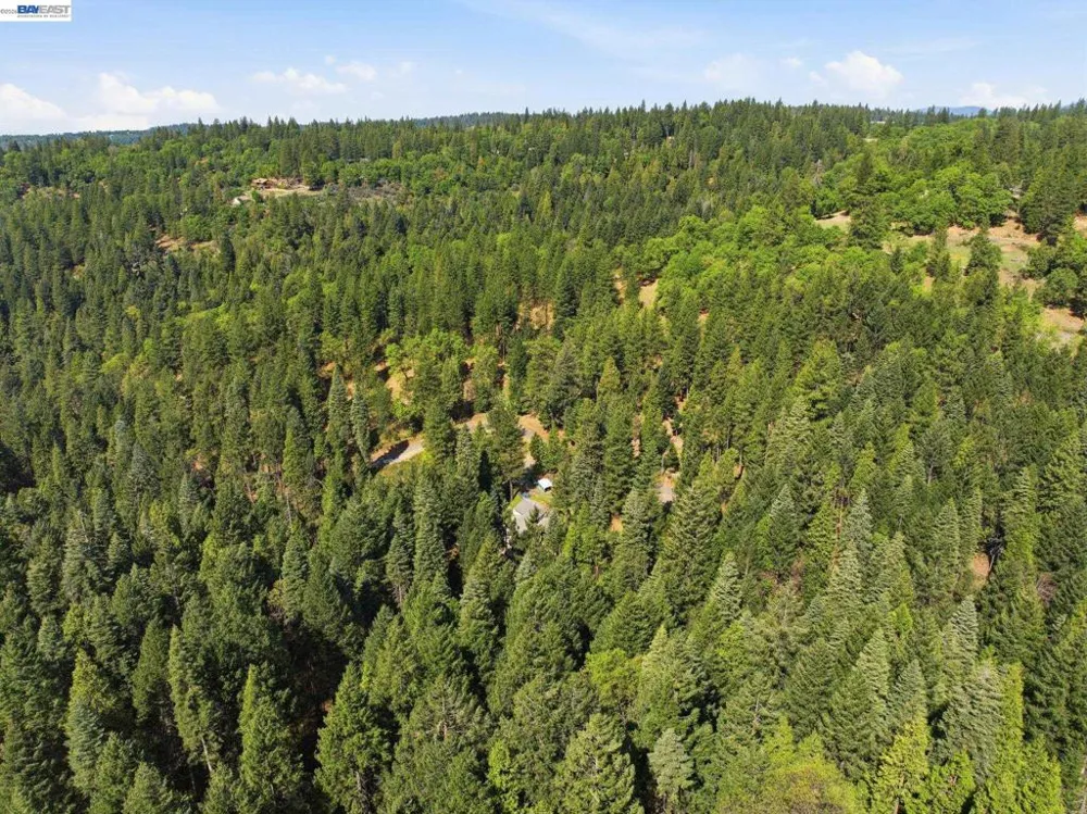 5890 Starkes Grade Rd Pollock Pines, CA 95726