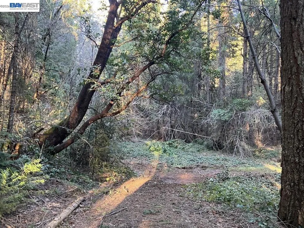 5890 Starkes Grade Rd Pollock Pines, CA 95726