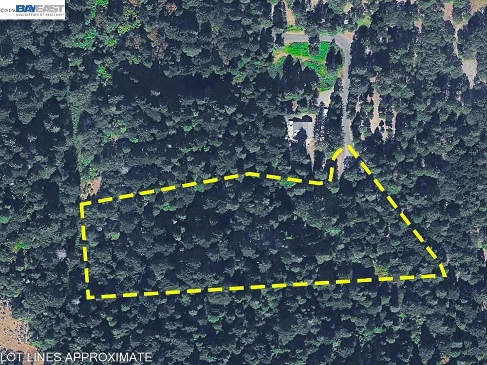 5890 Starkes Grade Rd Pollock Pines, CA 95726