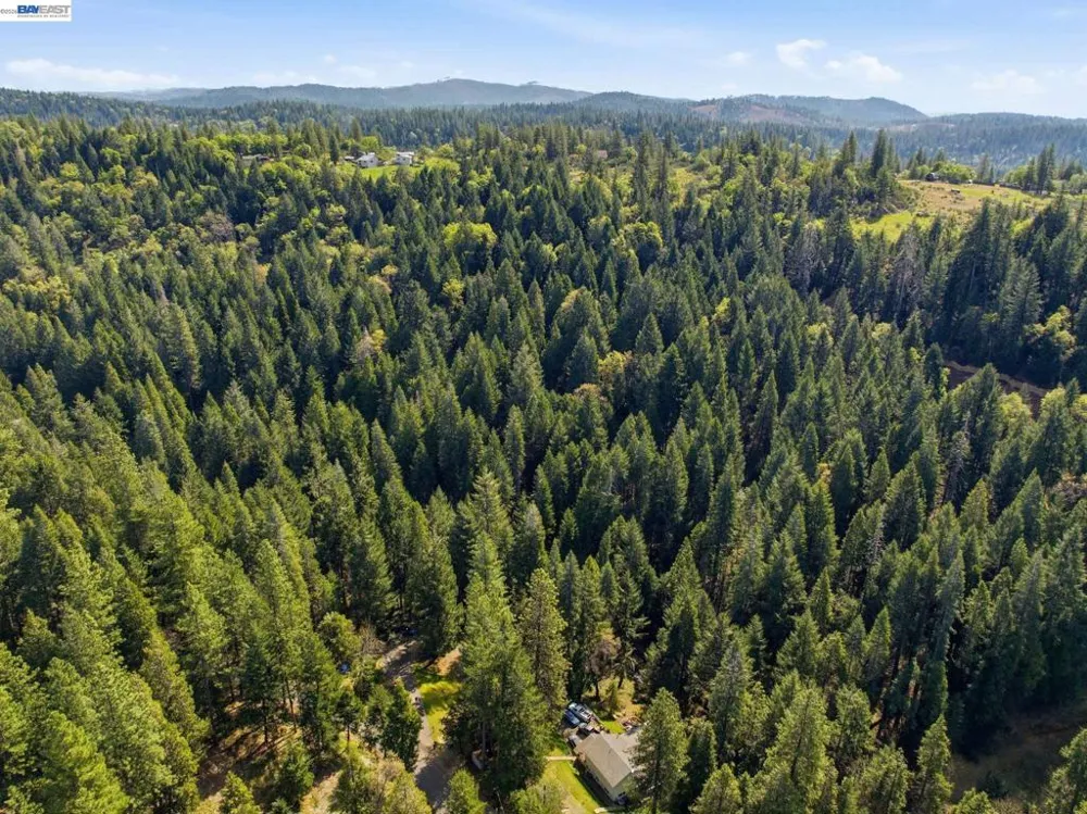5890 Starkes Grade Rd Pollock Pines, CA 95726