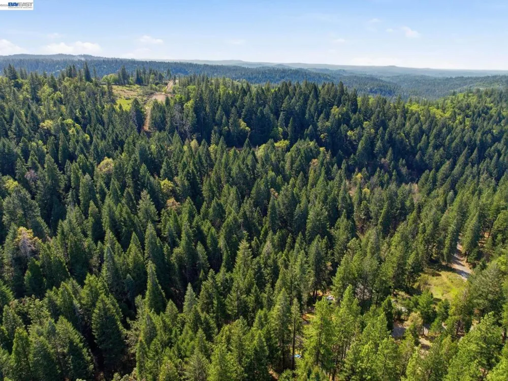 5890 Starkes Grade Rd Pollock Pines, CA 95726