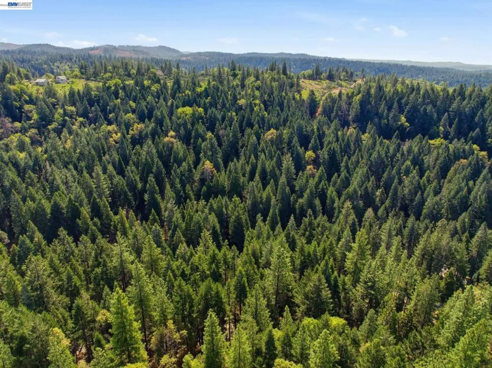 5890 Starkes Grade Rd Pollock Pines, CA 95726