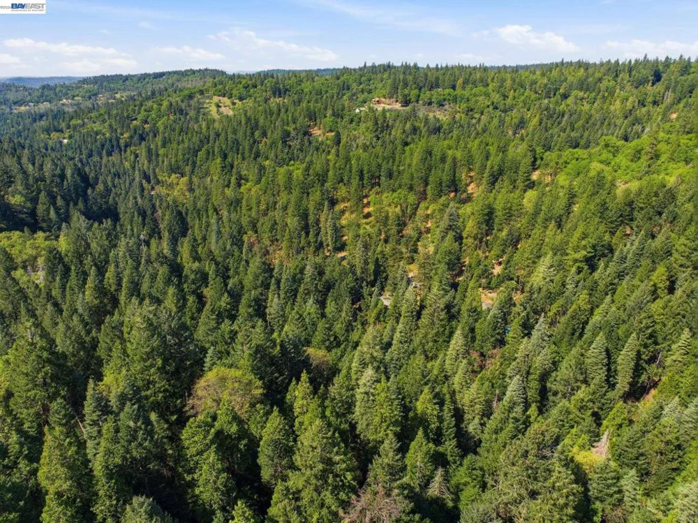 5890 Starkes Grade Rd Pollock Pines, CA 95726