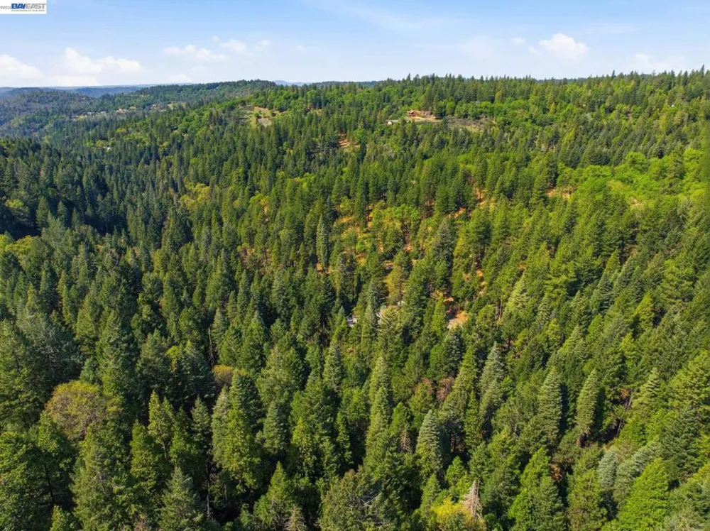5890 Starkes Grade Rd Pollock Pines, CA 95726