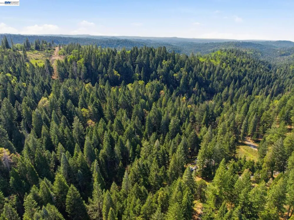 5890 Starkes Grade Rd Pollock Pines, CA 95726
