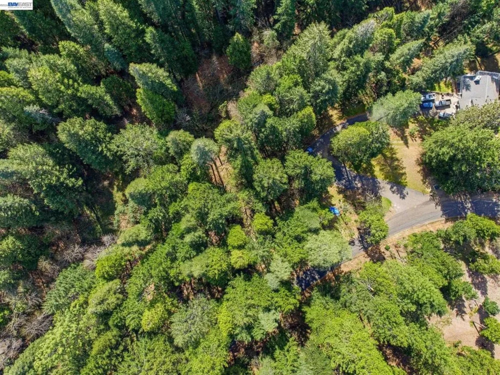 5890 Starkes Grade Rd Pollock Pines, CA 95726