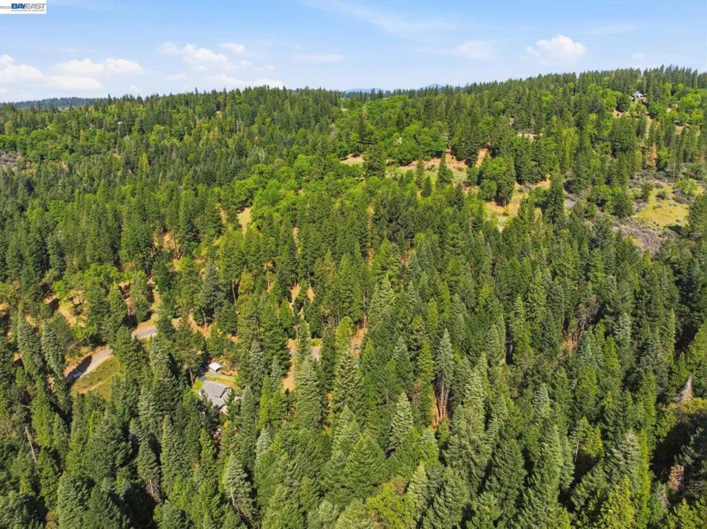 5890 Starkes Grade Rd Pollock Pines, CA 95726
