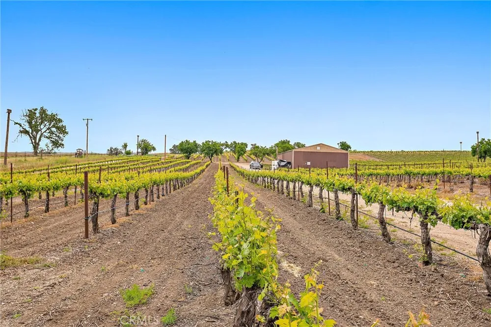 5575 El Pomar Templeton, CA 93465