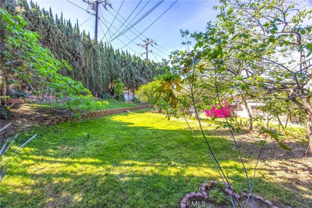 24673 Barton Loma Linda, CA 92354