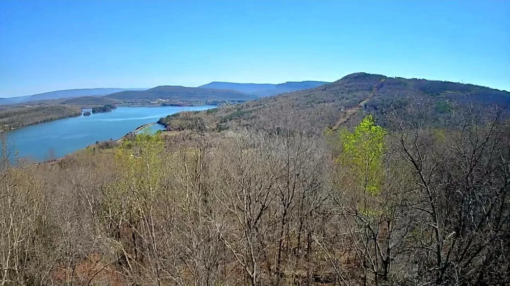 Scenic Drive South Pittsburg, TN 37380