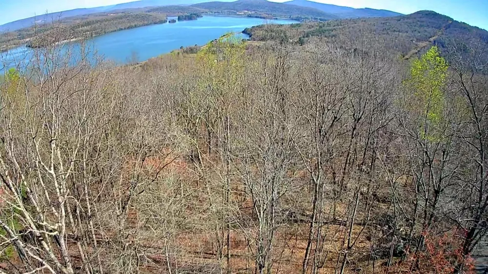 Scenic Drive South Pittsburg, TN 37380