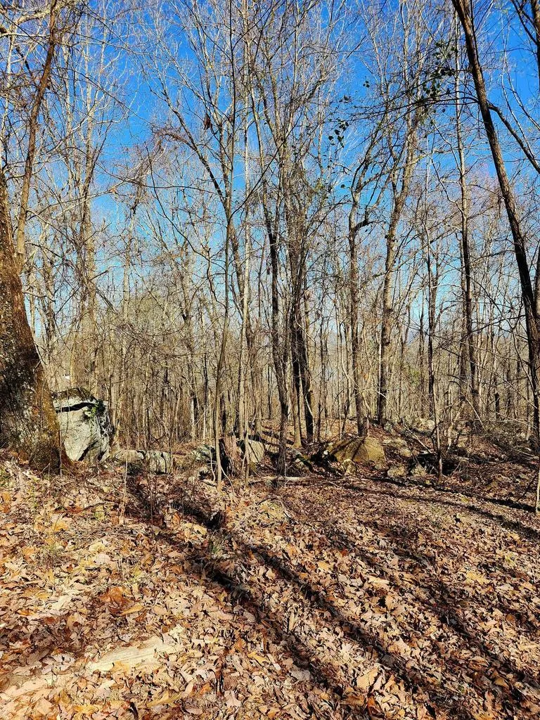Scenic Drive South Pittsburg, TN 37380