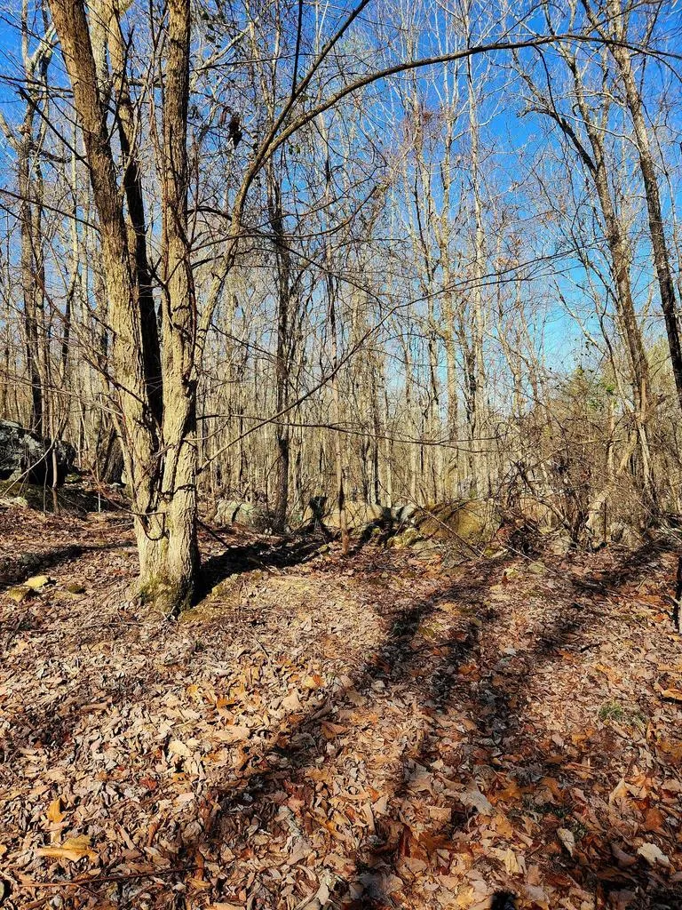 Scenic Drive South Pittsburg, TN 37380