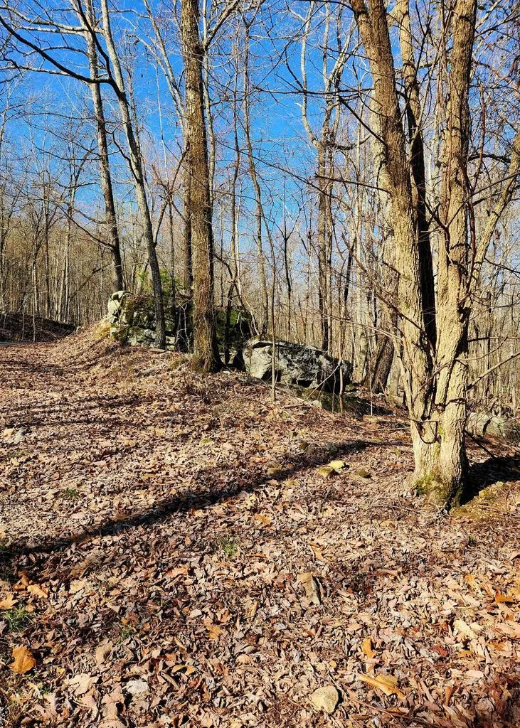 Scenic Drive South Pittsburg, TN 37380