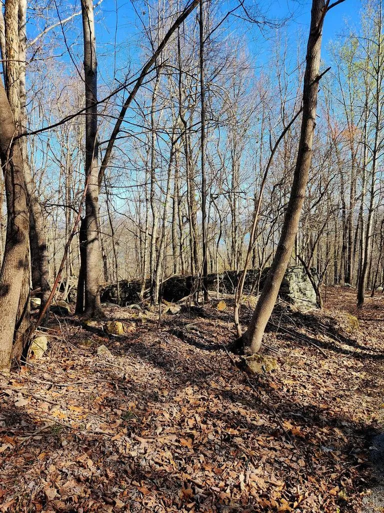 Scenic Drive South Pittsburg, TN 37380