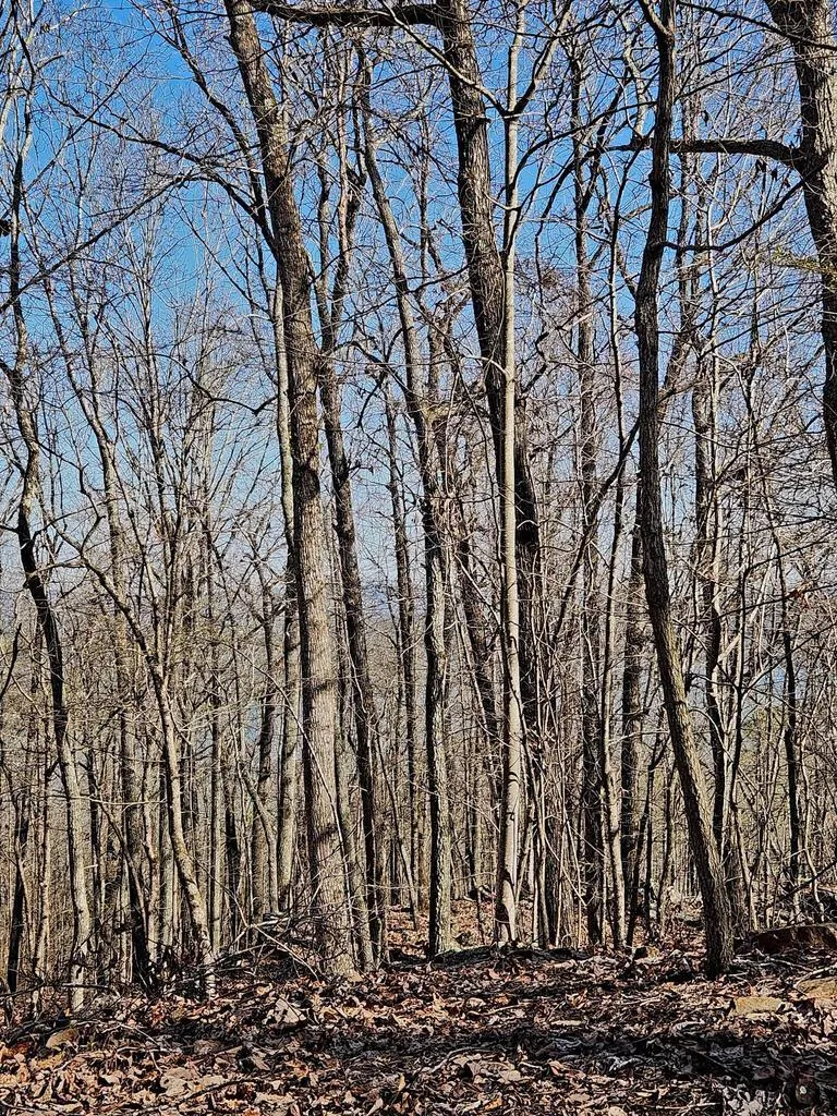 Scenic Drive South Pittsburg, TN 37380