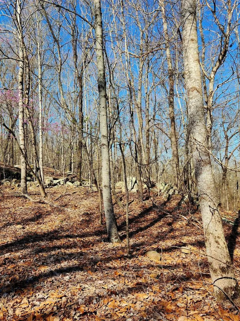 Scenic Drive South Pittsburg, TN 37380
