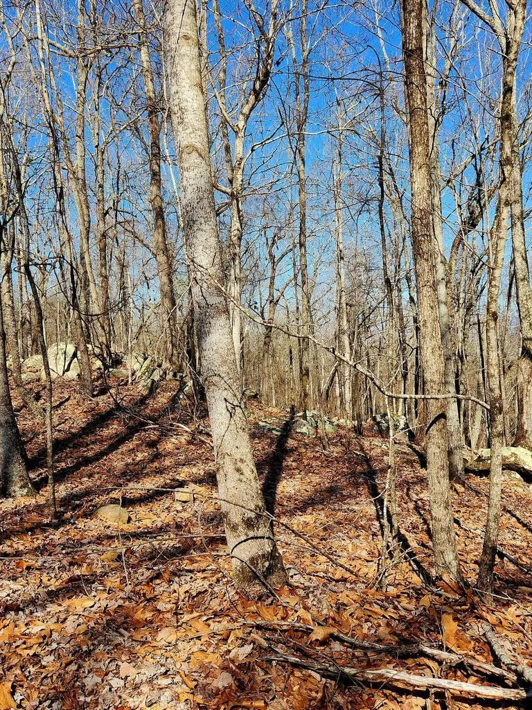 Scenic Drive South Pittsburg, TN 37380