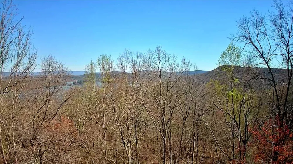 Scenic Drive South Pittsburg, TN 37380