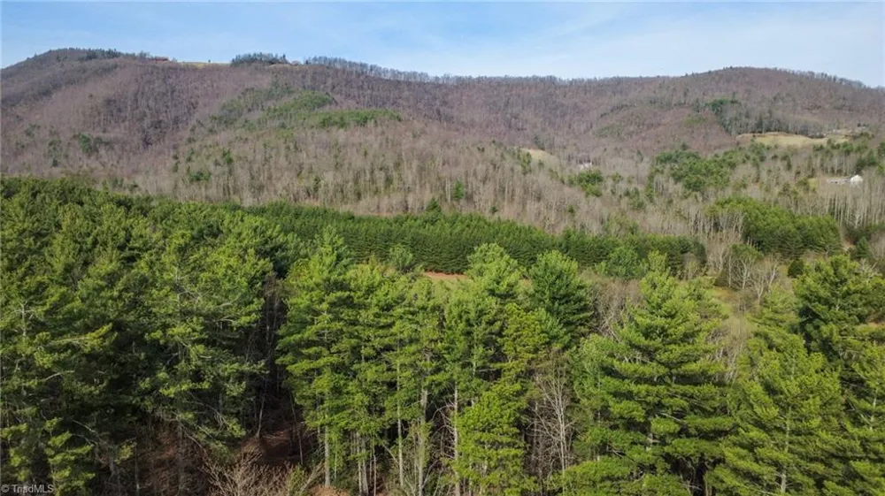 6414 Summit Road Purlear, NC 28665