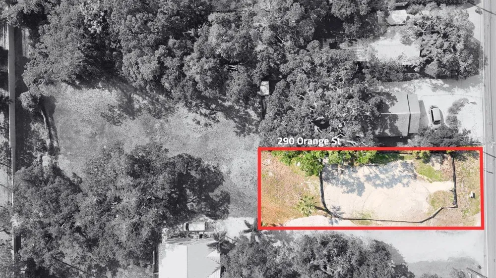 290 ORANGE STREET Palm Harbor, FL 34683